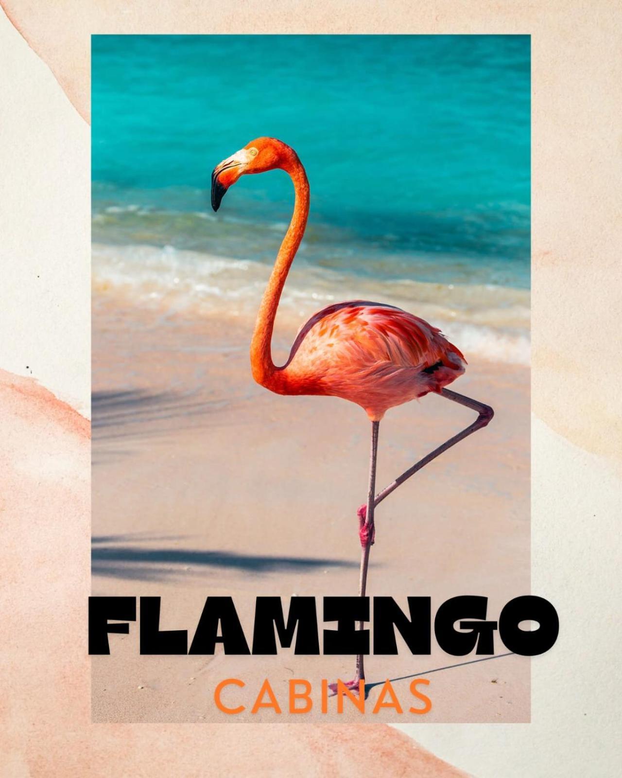 Cabinas Flamingo Playa Flamingo Dış mekan fotoğraf